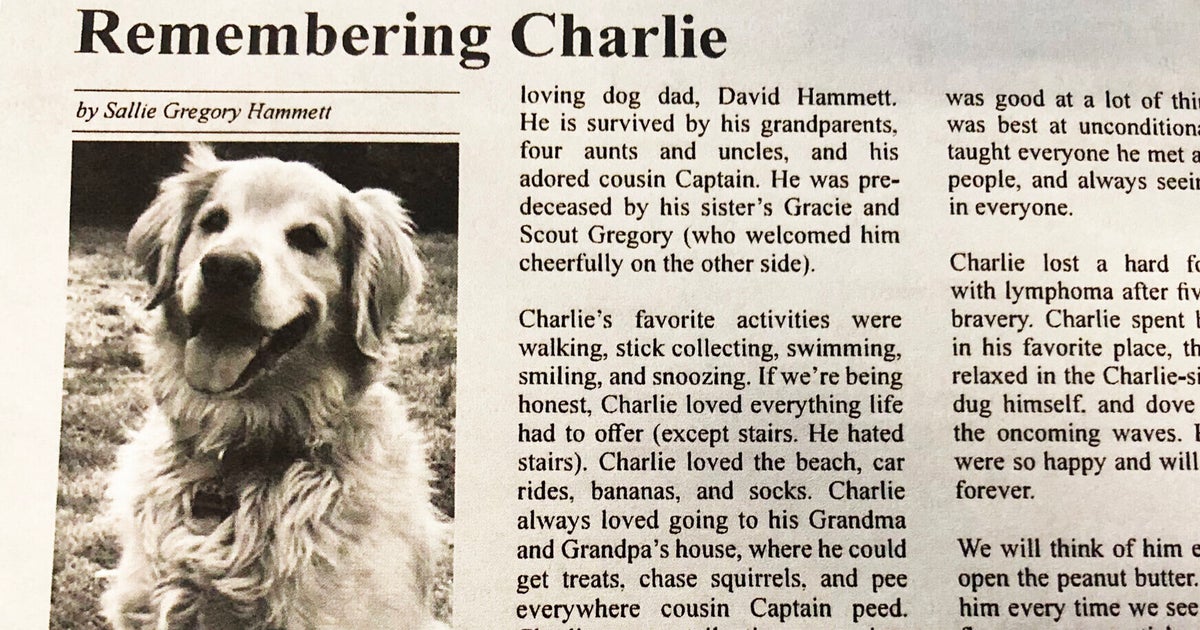 Dog's Heartfelt Obituary Goes Viral 'He Was Best At Unconditional Love
