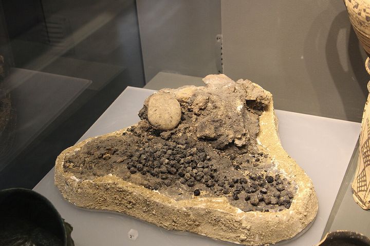 Αποτεφρωμένα σταφύλια από ταφική πυρά. 720- 700 π.Χ. Η παρουσία των σταφυλιών τοποθετεί ημερολογιακά την συγκεκριμένη ταφική πυρά μεταξύ Αυγούστου- αρχών Οκτωβρίου.