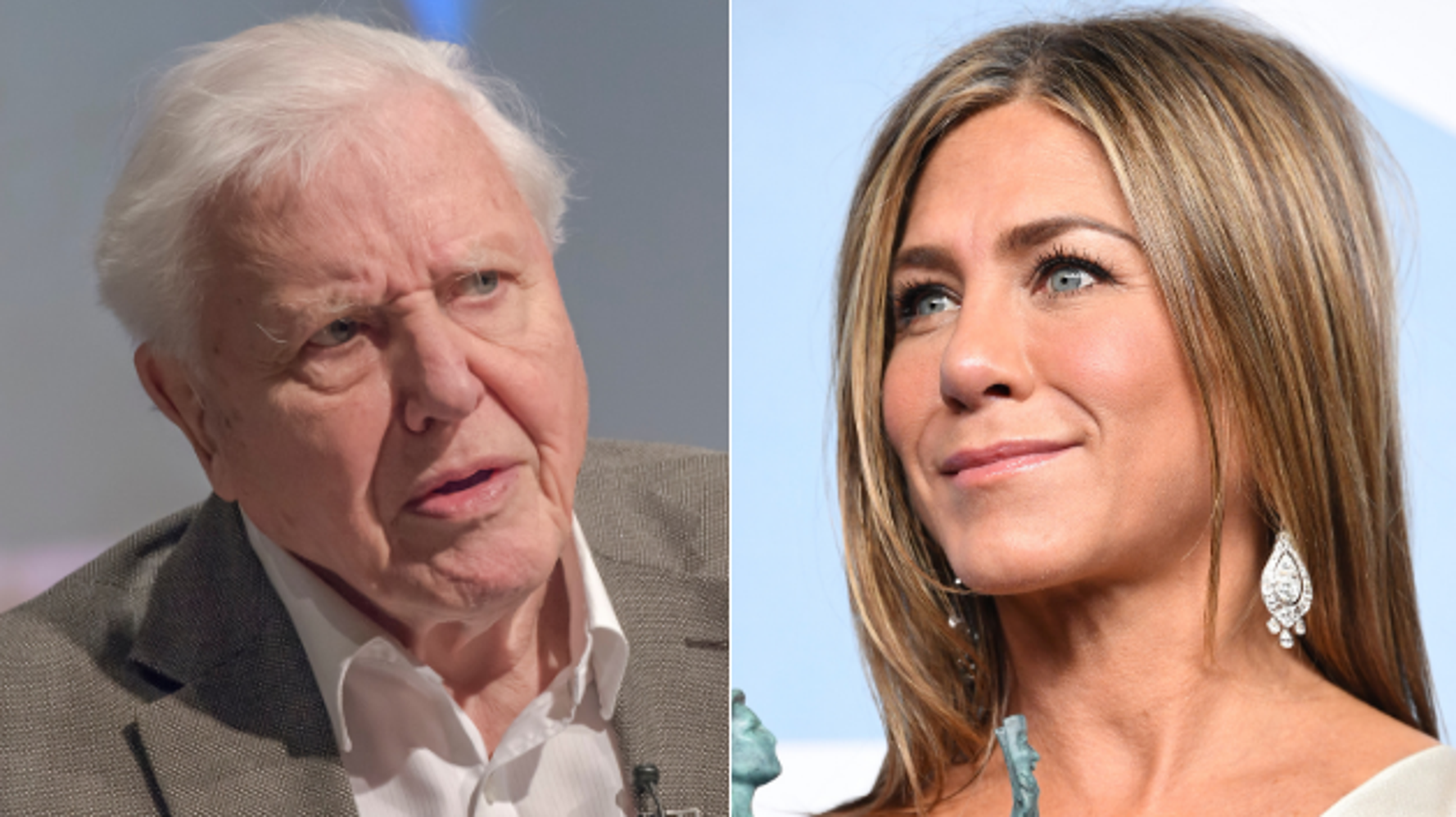 El Científico David Attenborough Supera El Récord De Jennifer Aniston En Instagram Por 31 Minutos El Huffpost Life