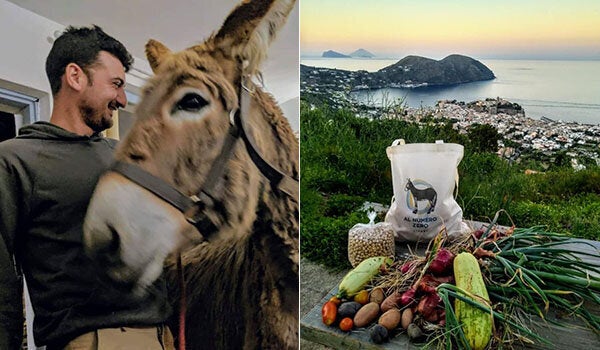"Offro stanza vista mare a Lipari, in cambio di aiuto in azienda agricola". L "Offro stanza vista mare a Lipari, in cambio di aiuto in azienda agricola". L