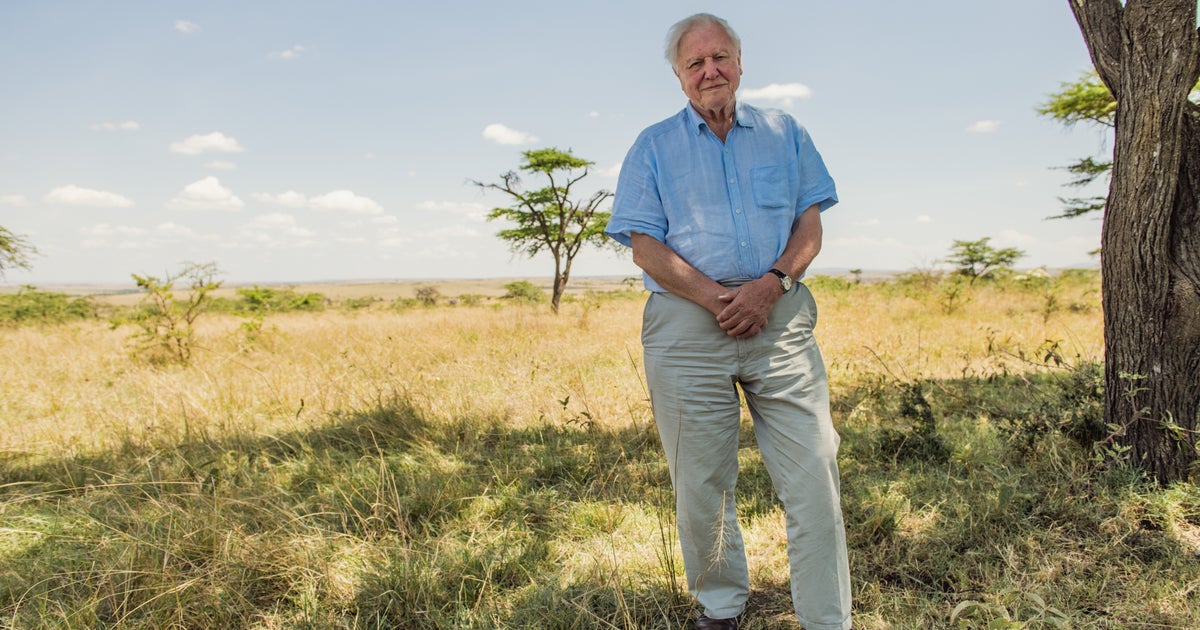 David Attenborough Reveals Five Sobering Facts About Earth David Attenborough Reveals Five Sobering Facts About Earth