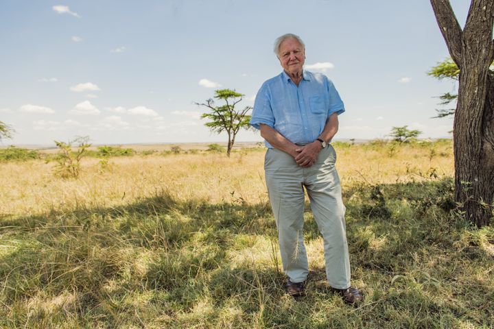 David Attenborough in a promotional shot for A Life On Our Planet