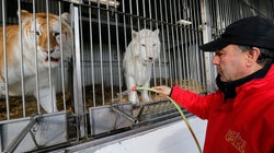 André-Joseph, le Bouglione défenseur des cirques sans animaux: “Le métier de dresseur n’a aucun