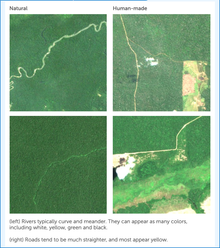 The deforestation app offers some helpful hints, but it can still be difficult to tell natural deforestation from human impact.