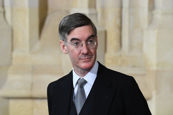 Jacob Rees-Mogg said people should stop their "endless carping" about problems with coronavirus testing.