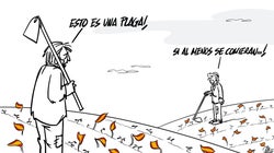 Tierra y/o