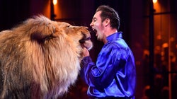 Le bien-être animal, la revanche des “hurluberlus” de