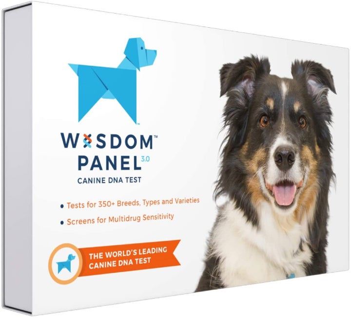 Wisdom health cheap dog dna