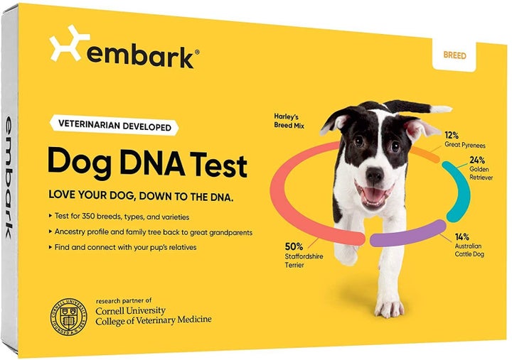 Prime Day 2020 Deals On Embark And Wisdom Panel Dog DNA Test Kits