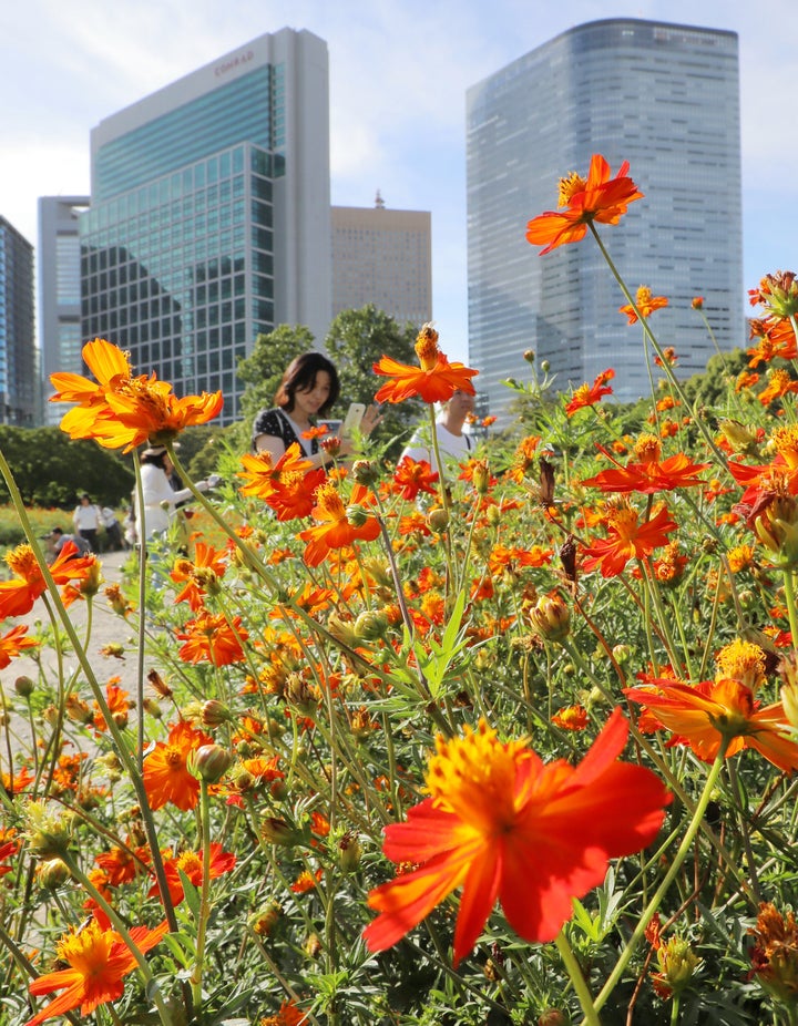 都民の日 無料開放される施設一覧 大人気の上野動物園や葛西臨海水族園は入れる ハフポスト News 都民の日 無料開放される施設一覧 大人気の上野動物園や葛西臨海水族園は入れる ハフポスト News