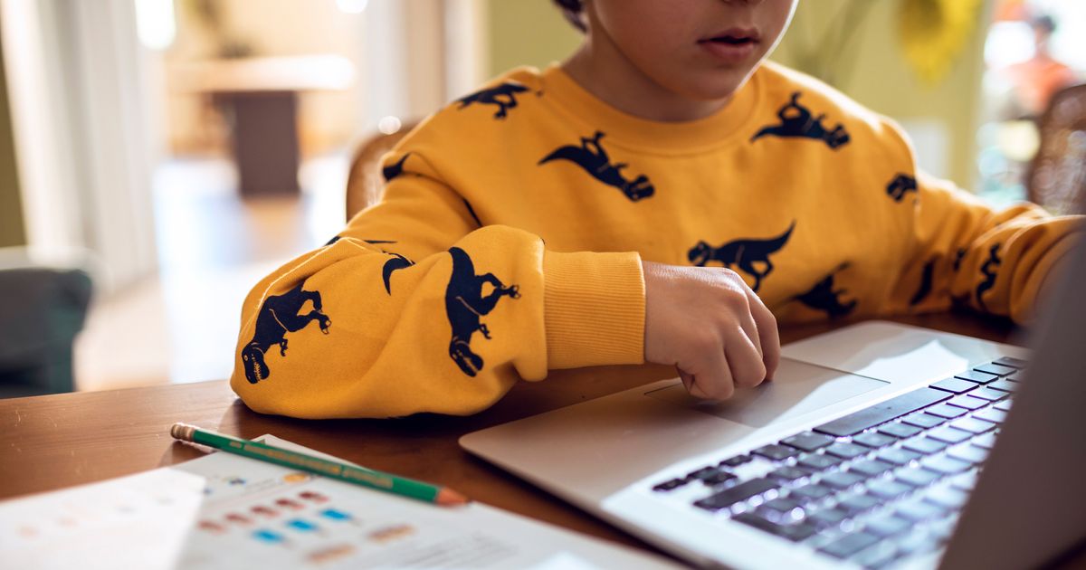 How To Help Shy And Introverted Kids With Remote Learning | HuffPost Life