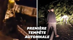 Les images de la tempête Alex et de ses rafales de vent