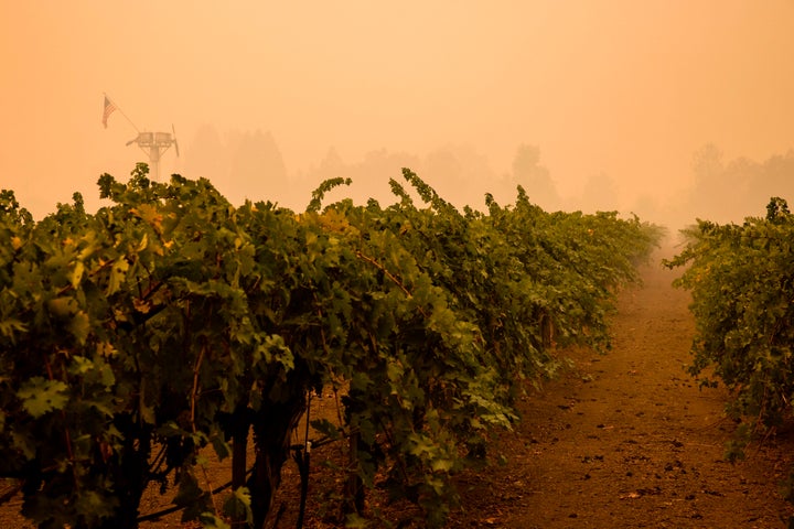 La région de Calistoga accueille en temps normal environ un million de visiteurs chaque année.