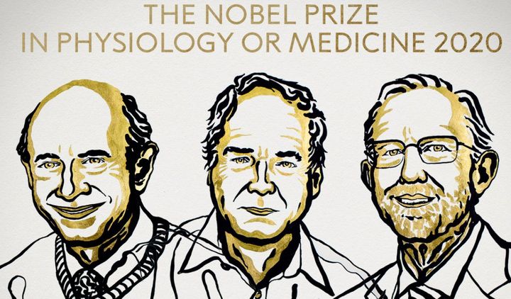 Los premiados con el Nobel de Medicina 2020.