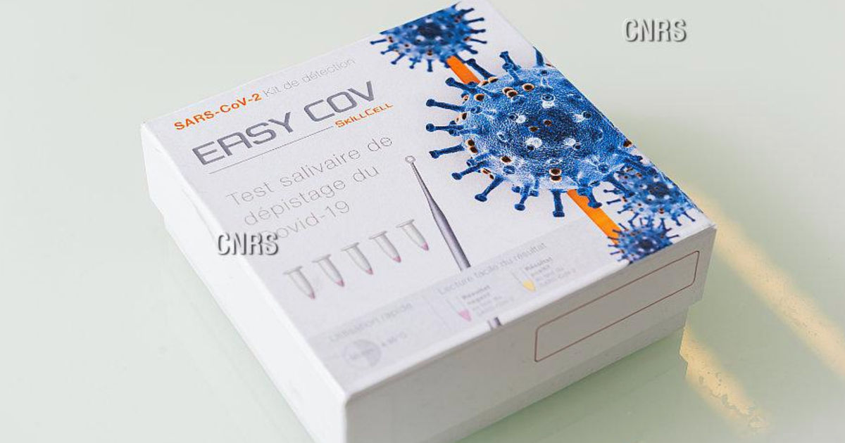 Covid-19 : bons résultats pour le test salivaire français EasyCov | Le