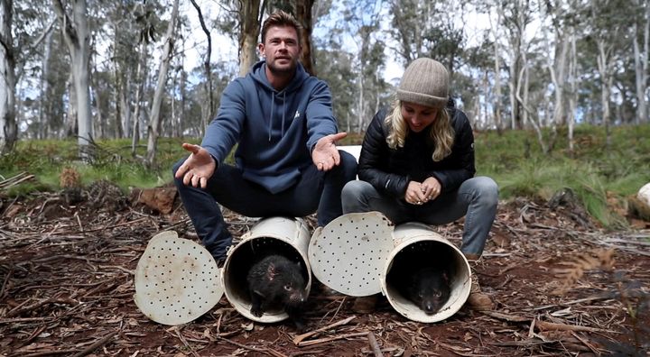 Chris Hemsworth and wife Elsa Pataky react as they release Tasmanian devils into the wild at Barrington Tops, Australia, September 10, 2020. 