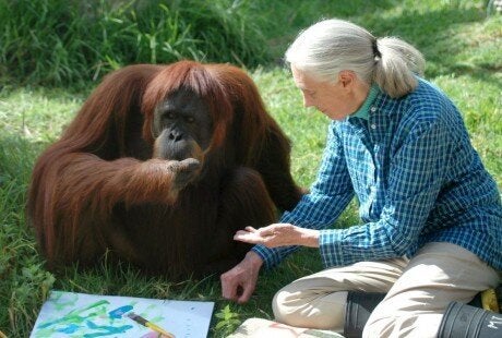 Jane Goodall.