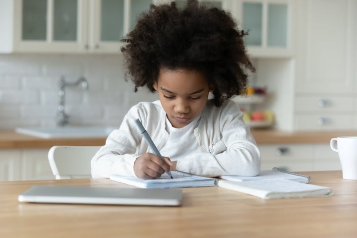 Os especialistas alertam que devemos planejar não apenas para a perda de aprendizado, mas também para a possibilidade de as crianças perderem o entusiasmo pelo aprendizado.