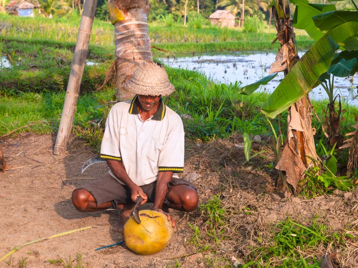 Un travailleur sur une ferme de Ubud en Indonésie.