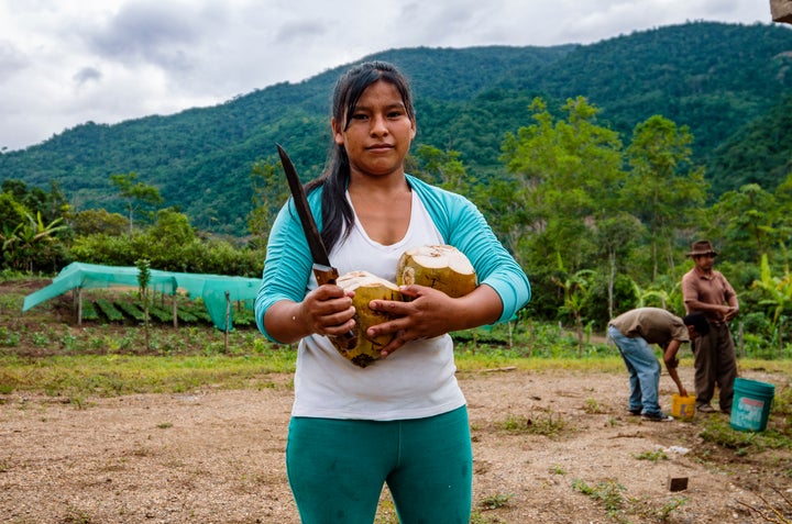 A Peruvian farmer holds fresh coconut on her farm.