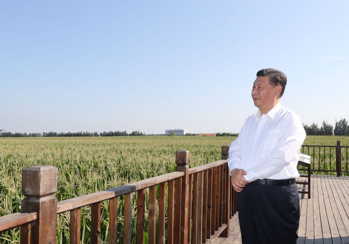 Chinese President Xi Jinping at a demonstration zone for green food production in Lishu County of Siping City, northeast China's Jilin Province, July 22, 2020.