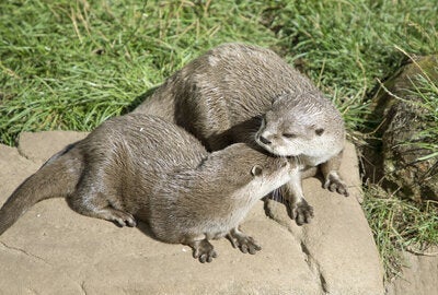 パンプキンと亡くなったパートナーのエリック