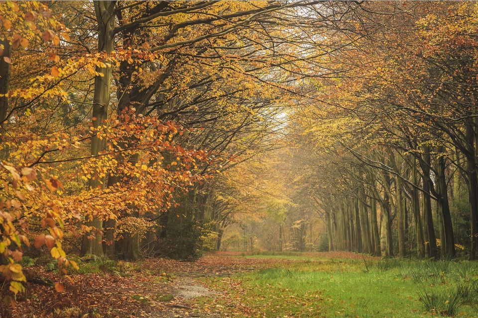 23 Spectacular Autumn Walks Across The UK