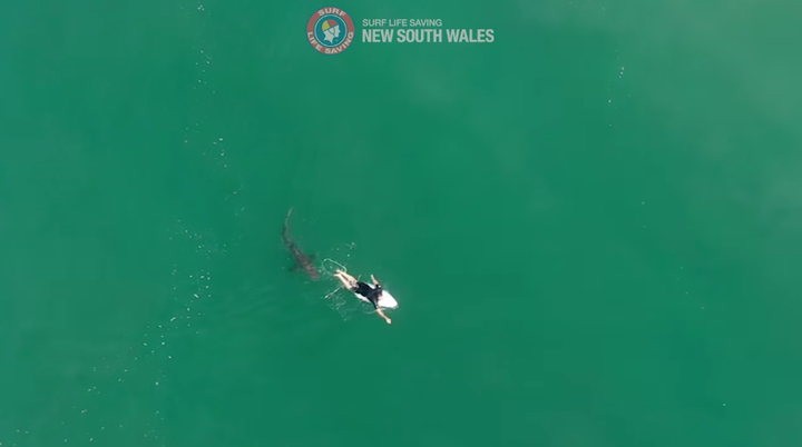 Australian surfer Matt Wilkinson had a close encounter with a shark in Ballina. 