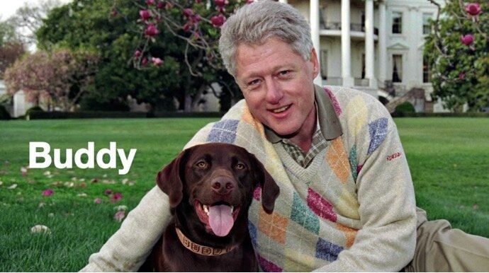 クリントン元大統領と飼い犬＝YouTube"Dog Lovers For Joe Biden"より