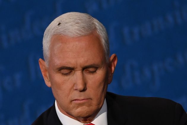 During a television debate on the candidate for vice president of the United States, a fly landed on the head of Vice President Mike Pence (Republican Party).  Year 2020