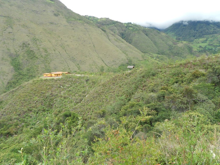 The tiny Huembo reserve is perched in the Andean cloud forests of northern Peru, near the town of Pomacochas.