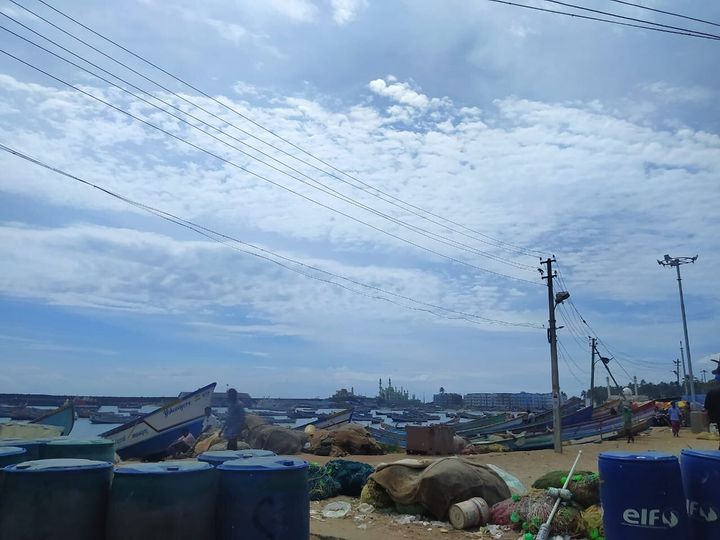 A view of the fishing harbour in Vizhinjam which is a stone's throw away from the Adani port.