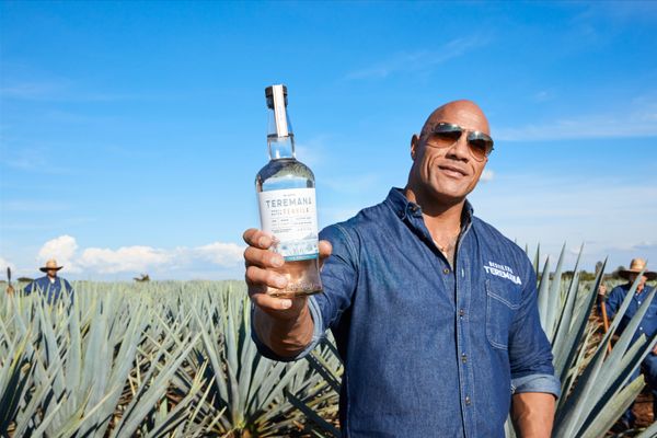 Dwayne Johnson is hoping to rock the liquor world with <a href=