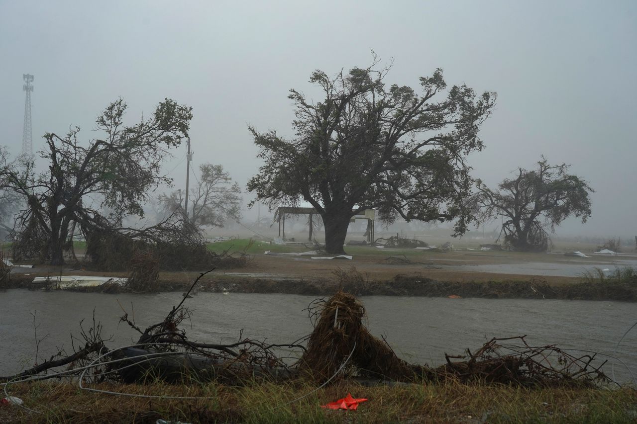 Trees damaged by Hurricane Laura are seen as Hurricane Delta approaches.