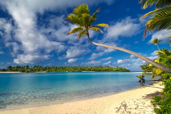Palm tree over lagoon on One Foot Island, Aitutaki,The Cook Islands