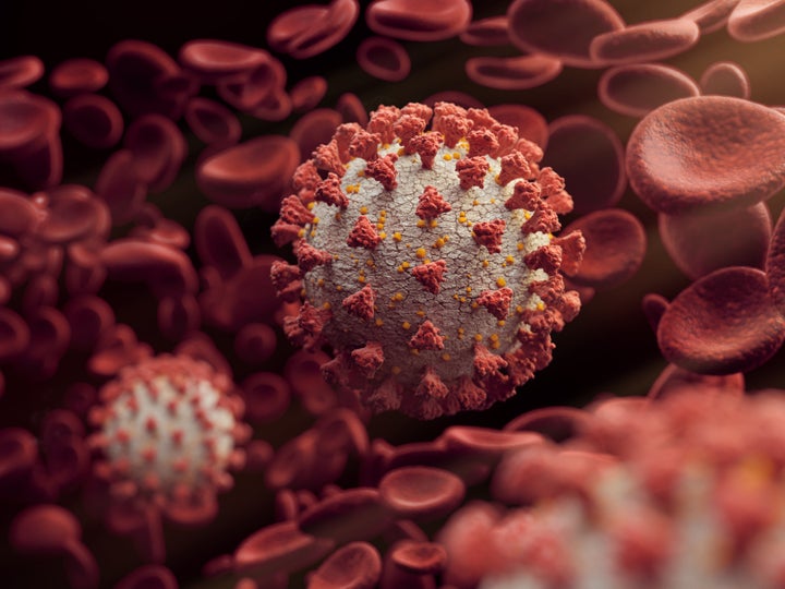 A rendering of the novel coronavirus surrounded by red blood cells.