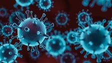 25-Year-Old Nevada Man Infected Twice With COVID-19, Scientists Say