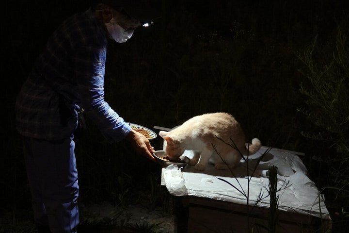 野良猫 可愛いだけではないんだよ 多摩川河川敷の猫を追い続ける写真家は訴える ハフポスト News 野良猫 可愛いだけではないんだよ 多摩川河川敷の猫を追い続ける写真家は訴える ハフポスト News