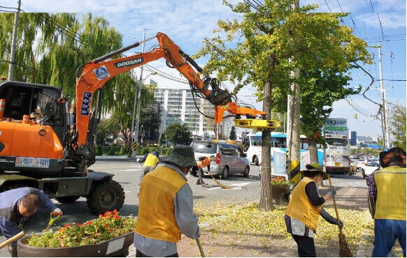 전주시 도로변에 떨어진 은행나무 열매와 낙엽을 치우는 모습.