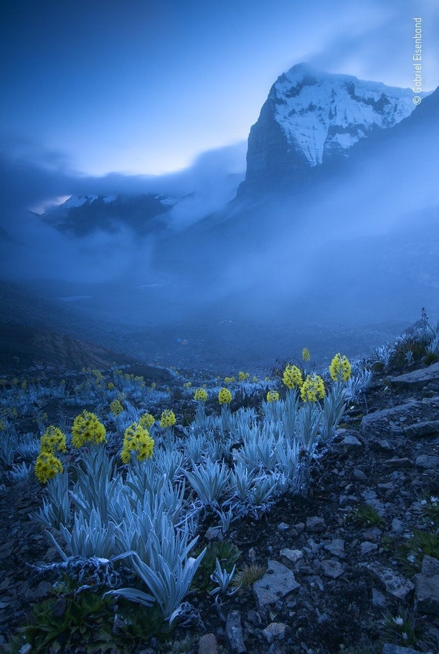 (Gabriel Eisenband/Wildlife Photographer of the Year 2020/PA)
