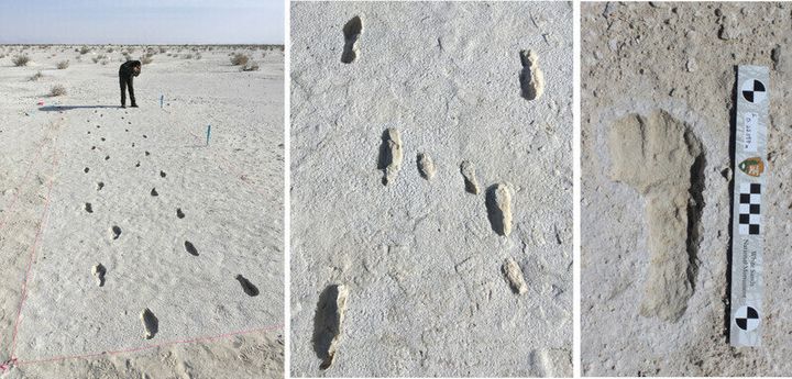 화이트샌즈국립공원의 발자국 화석. 왕복 발자국 사이에 아이의 발자국이 보인다. 오른쪽은 미끄러짐이 없이 온전한 형태의 발자국. 