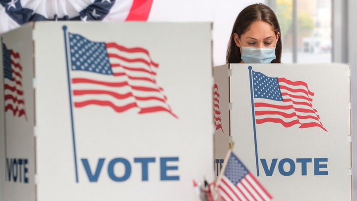 Poll workers are at a greater risk of infection than the voters themselves, said Lee Riley, professor and head of the infectious diseases division at the University of California, Berkeley.