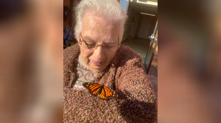 Shirley McFarlane, 84, with a monarch at Golden Dawn.