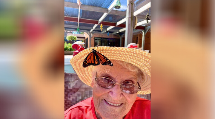 Shirley Garrod, 92, said she didn't expect to love monarch butterflies as much as she did.