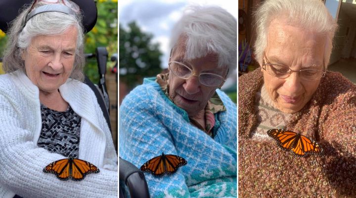 From left: Sandy Taylor, Pat Horner and Shirley McFarlane with monarch butterflies at Golden Dawn retirement home in Lions Head, Ont.