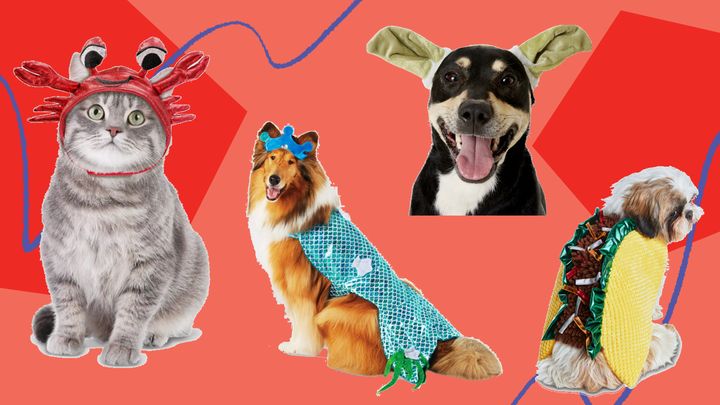 We found 2020's funniest Halloween costumes for dogs and cats from Chewy, Petco, Target, Amazon, Etsy and more.