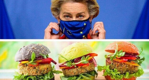 Allevatori alla guerra contro gli "hamburger vegani": ora Bruxelles deve decidere Allevatori alla guerra contro gli "hamburger vegani": ora Bruxelles deve decidere