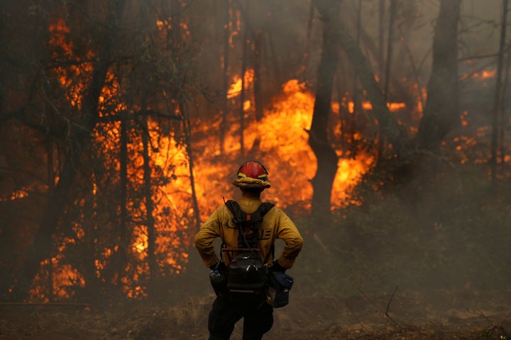 A Cal Fire firefighter monitors flames in Calistoga, California, earlier this month.