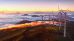 Recuperación económica y cambio climático: se buscan