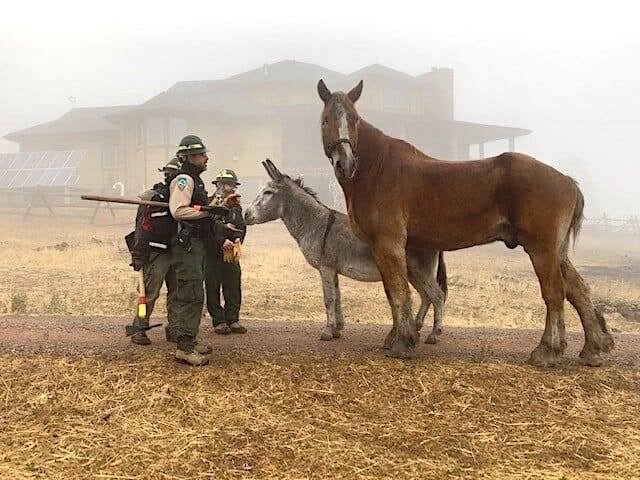 Adam and Ennis safe after a successful escape from the CalWood fire.